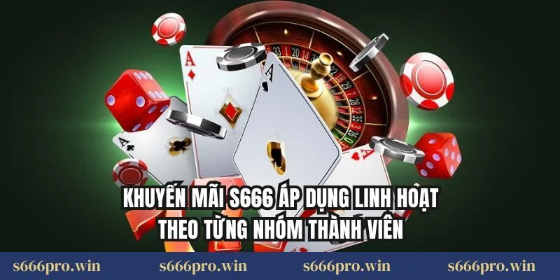 Khuyến mãi S666 áp dụng linh hoạt theo từng nhóm thành viên